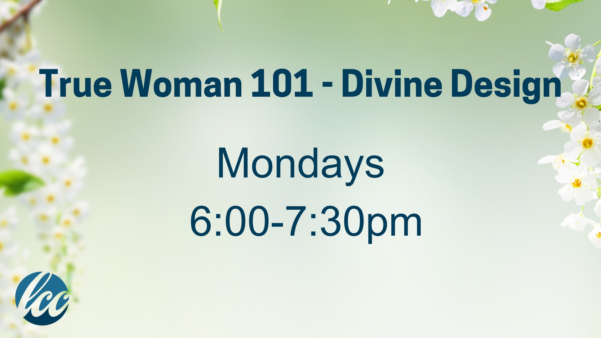 Women's Spring Bible Studies (3)